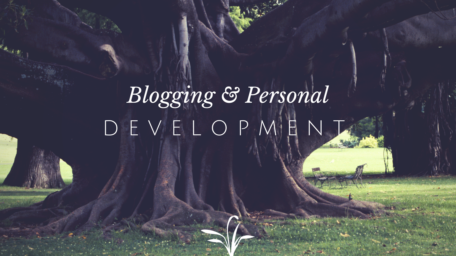 Does blogging help personal development?